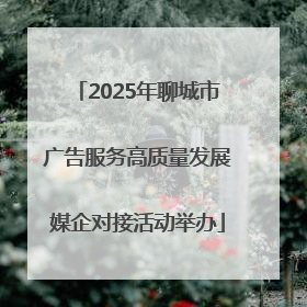 2025年聊城市广告服务高质量发展媒企对接活动举办