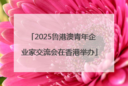 2025鲁港澳青年企业家交流会在香港举办