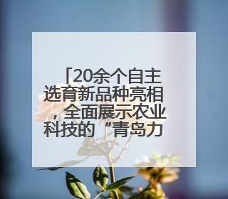 20余个自主选育新品种亮相，全面展示农业科技的“青岛力量”