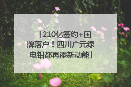 210亿签约+国牌落户！四川广元绿电铝都再添新动能