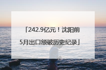 242.9亿元！沈阳前5月出口额破历史纪录