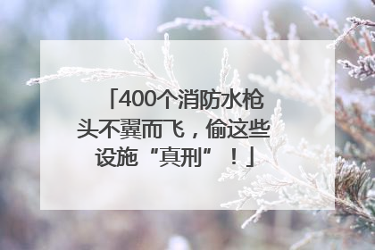 400个消防水枪头不翼而飞，偷这些设施“真刑”！