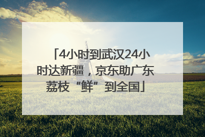 4小时到武汉24小时达新疆，京东助广东荔枝“鲜”到全国