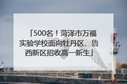 500名！菏泽市万福实验学校面向牡丹区、鲁西新区招收高一新生