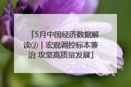 5月中国经济数据解读②｜宏观调控标本兼治 攻坚高质量发展
