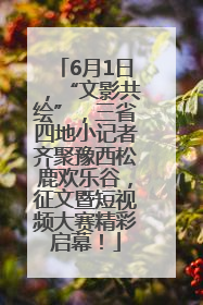 6月1日，“文影共绘”，三省四地小记者齐聚豫西松鹿欢乐谷，征文暨短视频大赛精彩启幕！