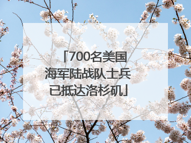 700名美国海军陆战队士兵已抵达洛杉矶