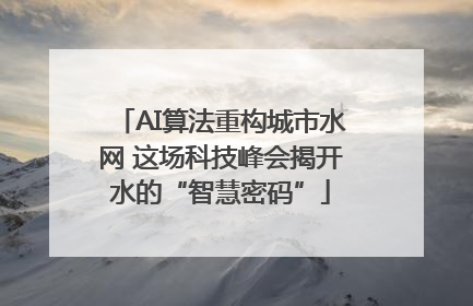 AI算法重构城市水网 这场科技峰会揭开水的“智慧密码”