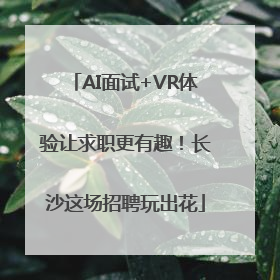 AI面试+VR体验让求职更有趣！长沙这场招聘玩出花